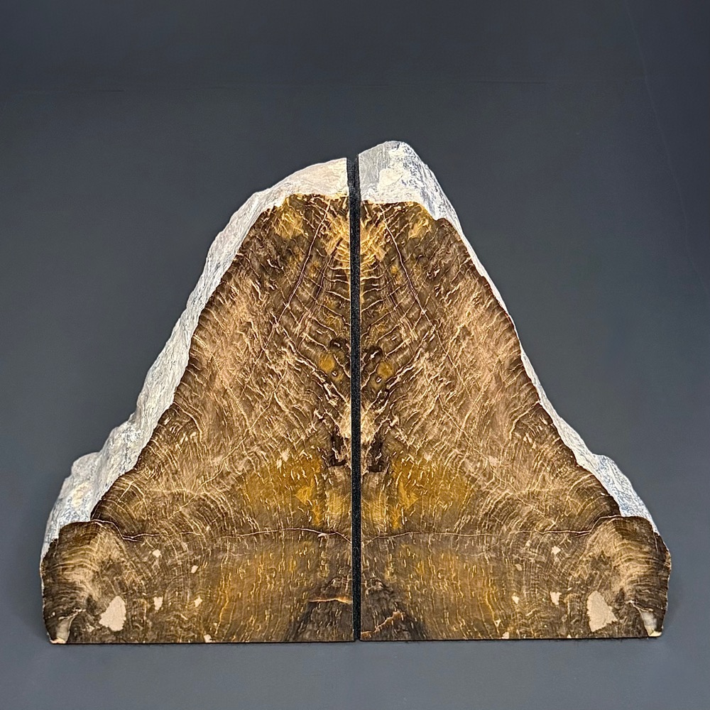 BK300 Petrified Wood Bookends