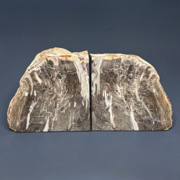 BK503 Petrified Wood Bookends