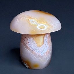 CV102 Madagascar Agate Mushroom