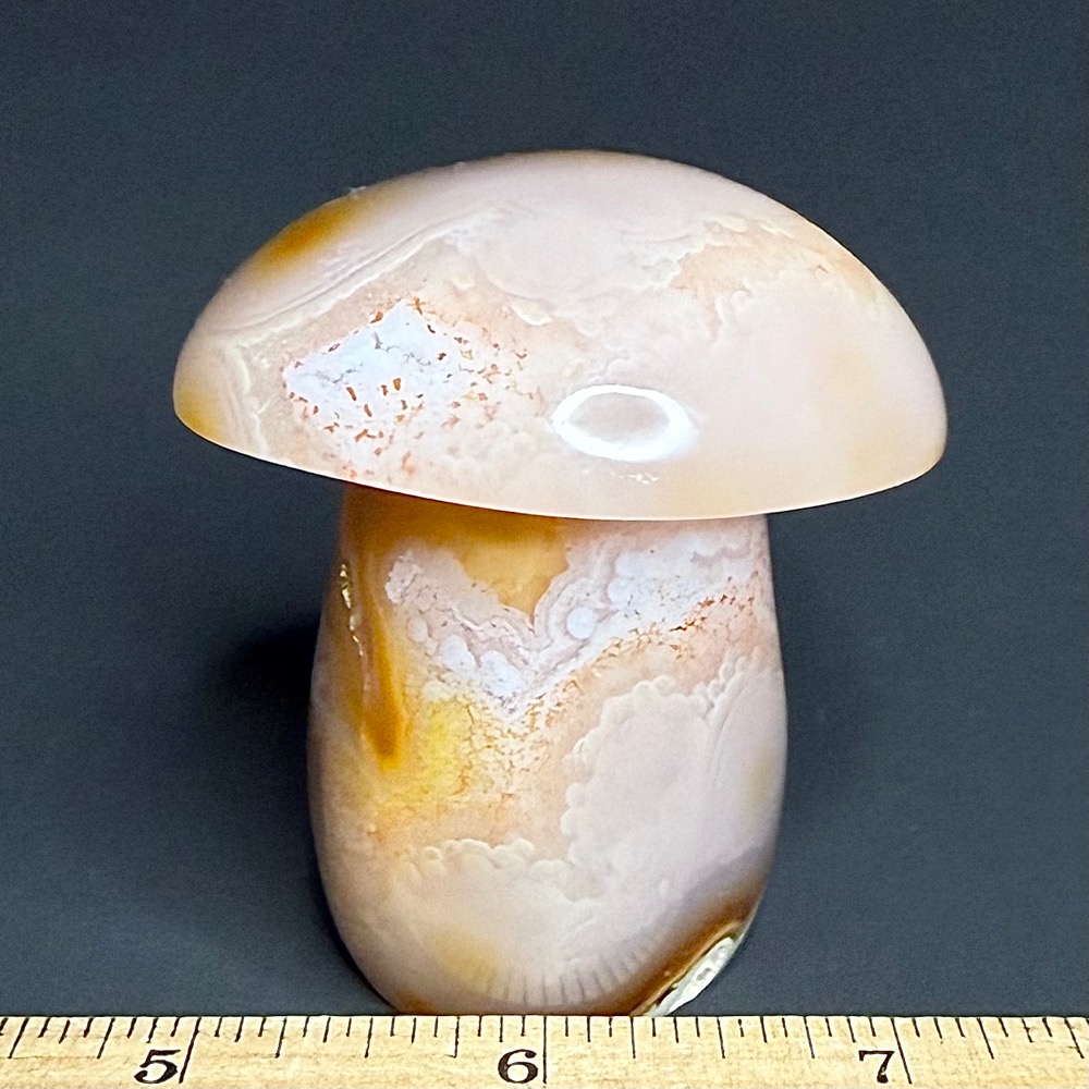 CV102 Madagascar Agate Mushroom - Image 2