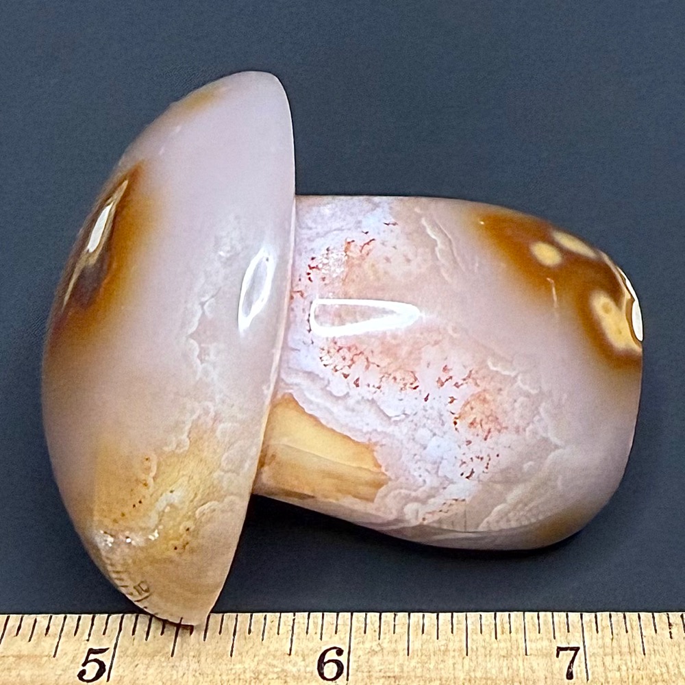 CV102 Madagascar Agate Mushroom - Image 3
