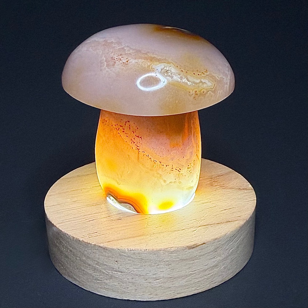 CV102 Madagascar Agate Mushroom