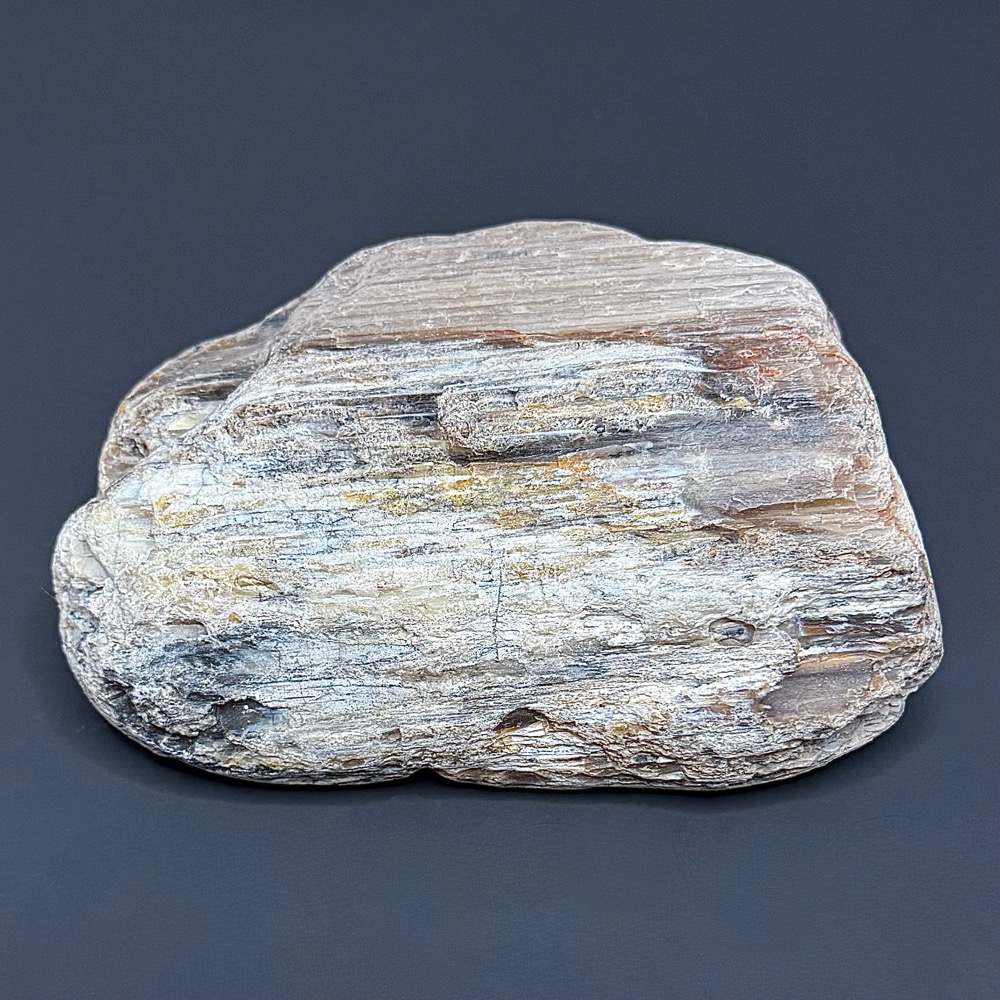 BCR315 Petrified Wood