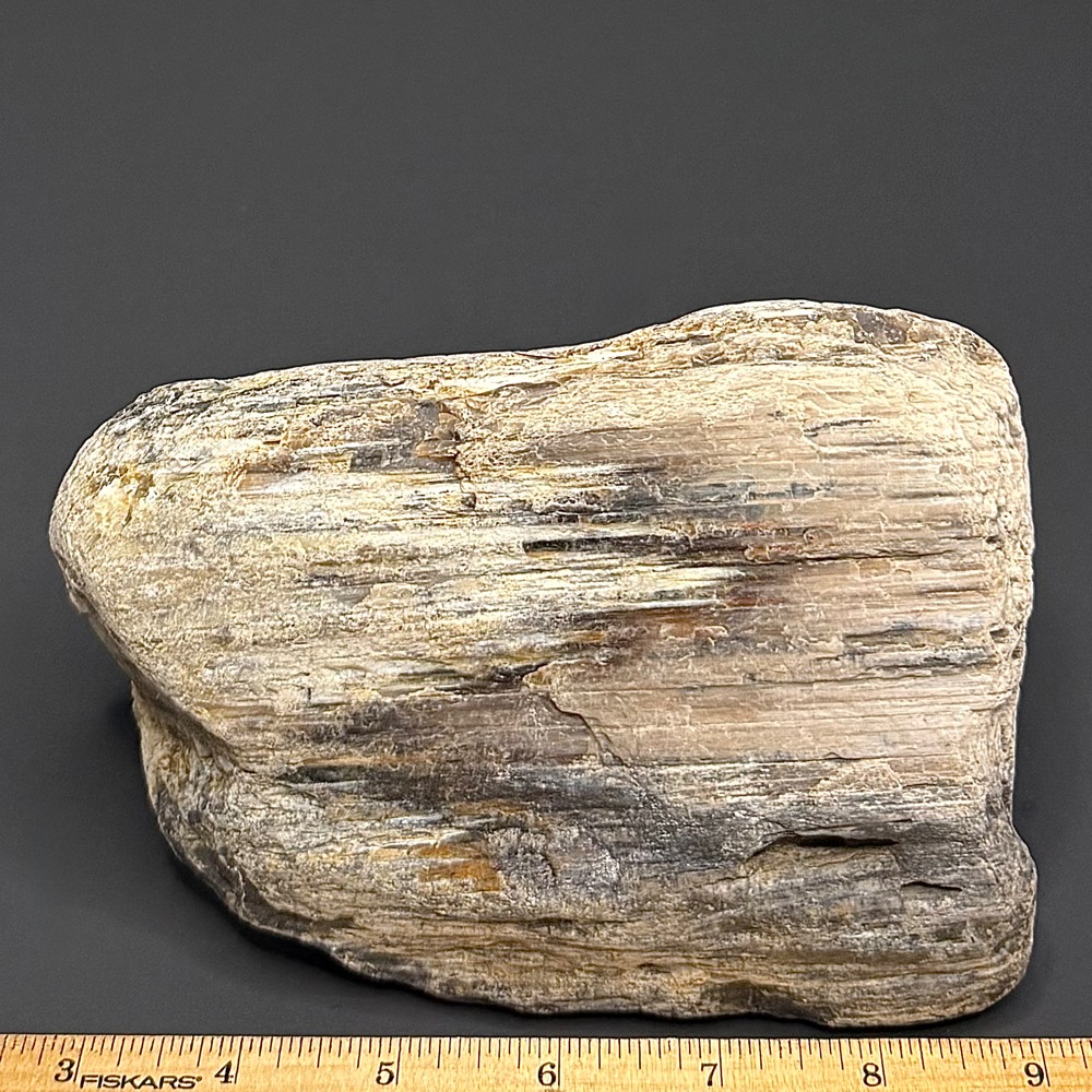 BCR315 Petrified Wood - Image 2