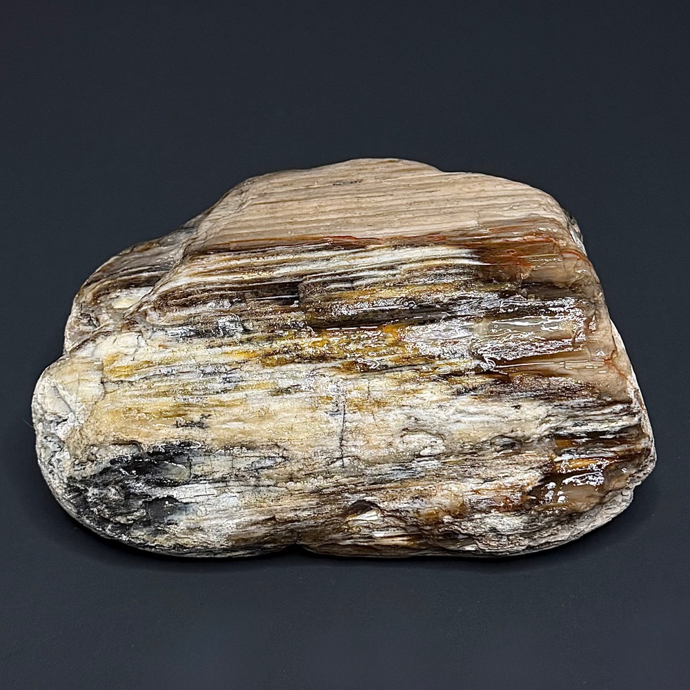 BCR315 Petrified Wood