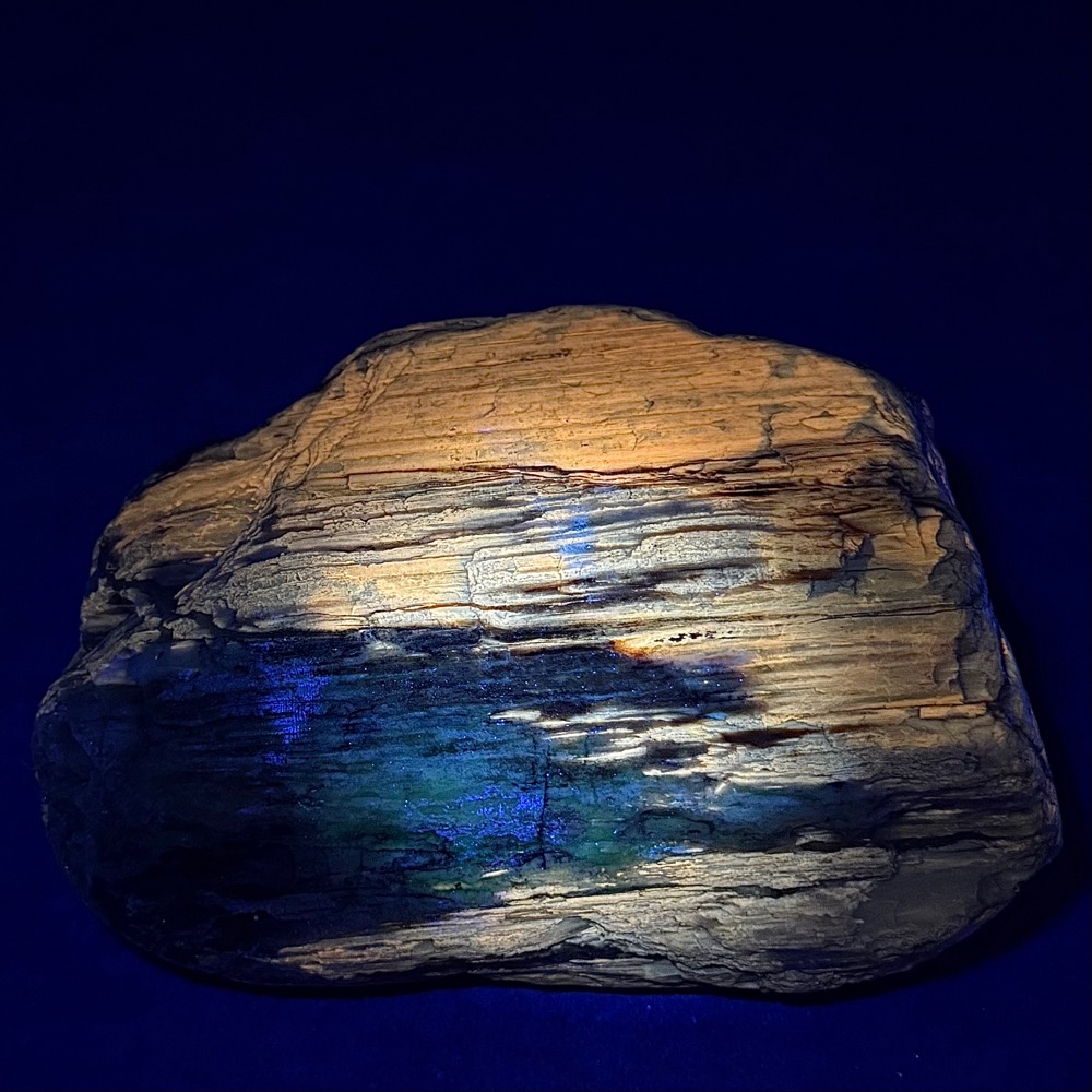 BCR315 Petrified Wood