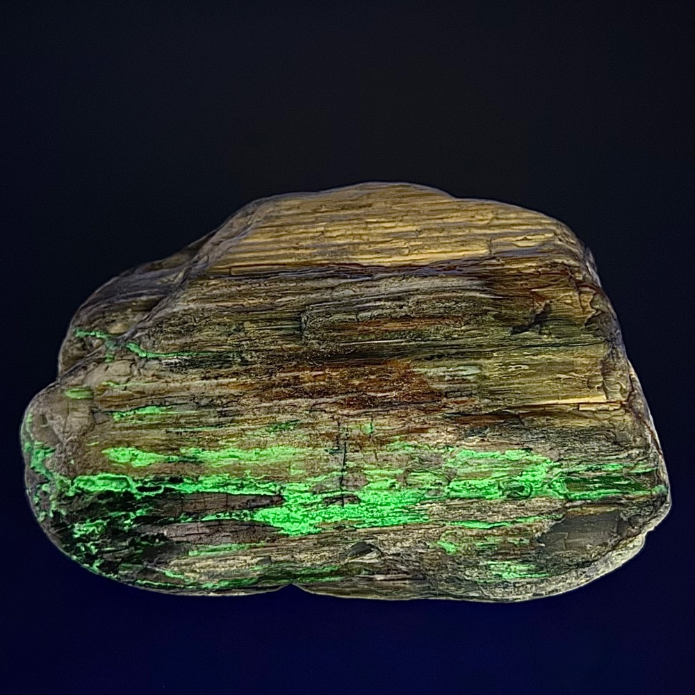 BCR315 Petrified Wood - Image 4