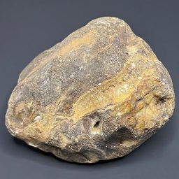 BCR321 Black Skin Agate