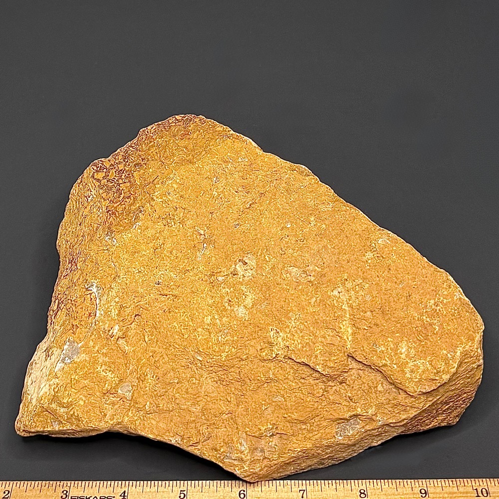 BCR415 Coquina Jasper - Image 3