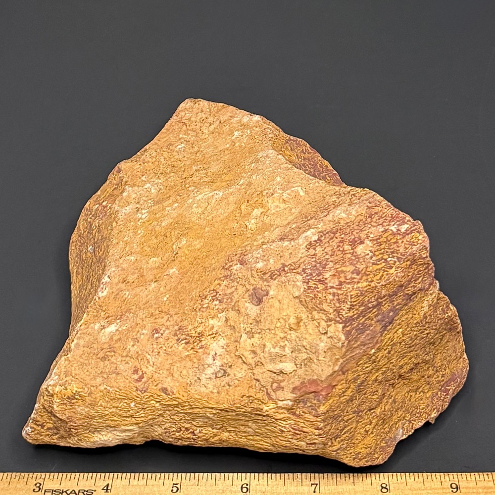 BCR415 Coquina Jasper - Image 2