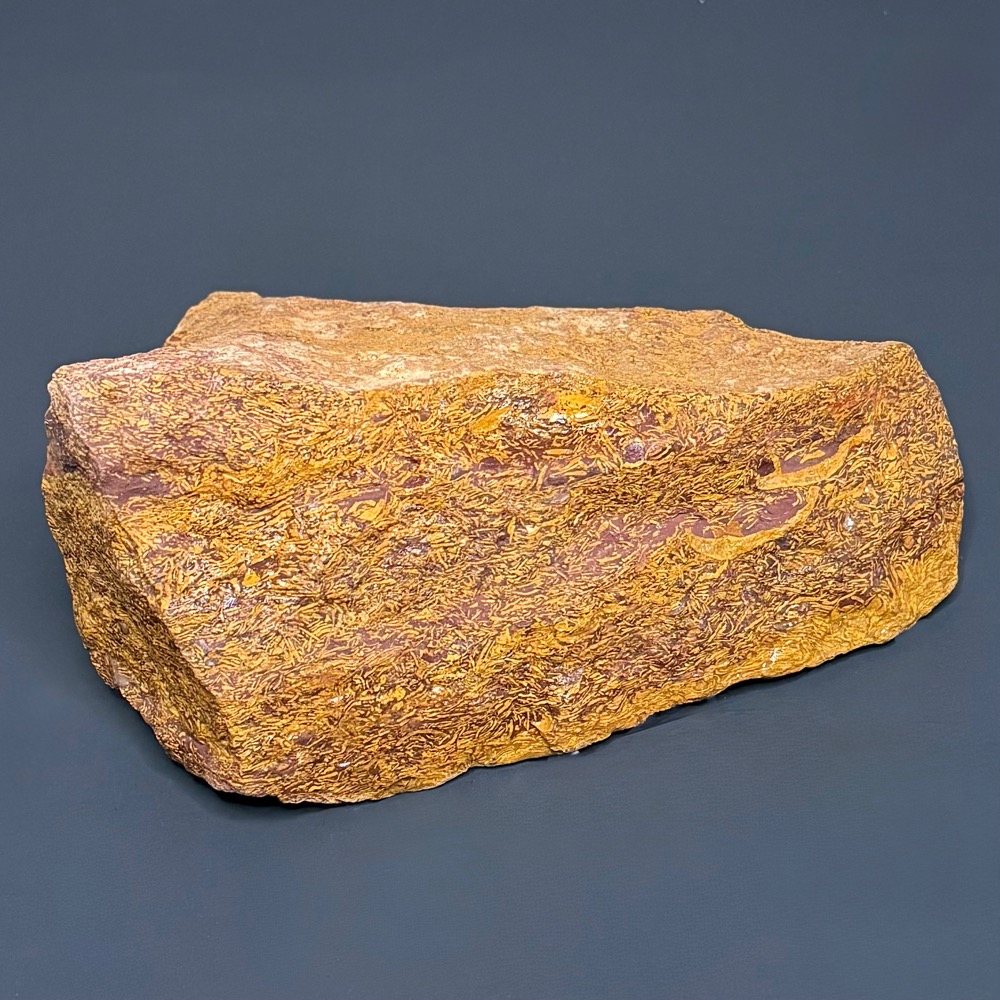 BCR415 Coquina Jasper