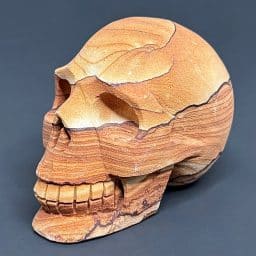 CV116 Sandstone Skull