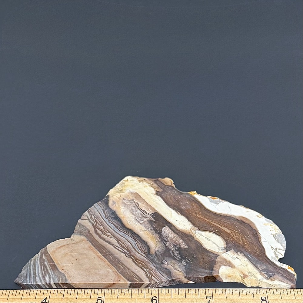 SL102 Biggs Jasper - Image 2