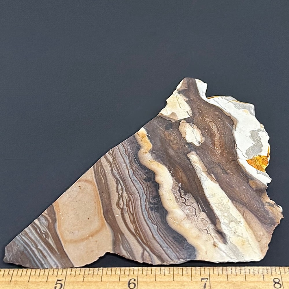 SL102 Biggs Jasper - Image 3