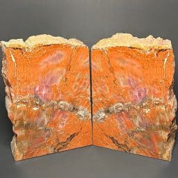 BK110 Petrified Wood Bookends