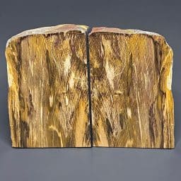 BK309 Petrified Wood Bookends