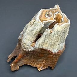 FO710 Woolly Rhino Tooth