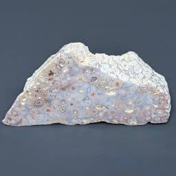 PR610 Tube Agate/Coral