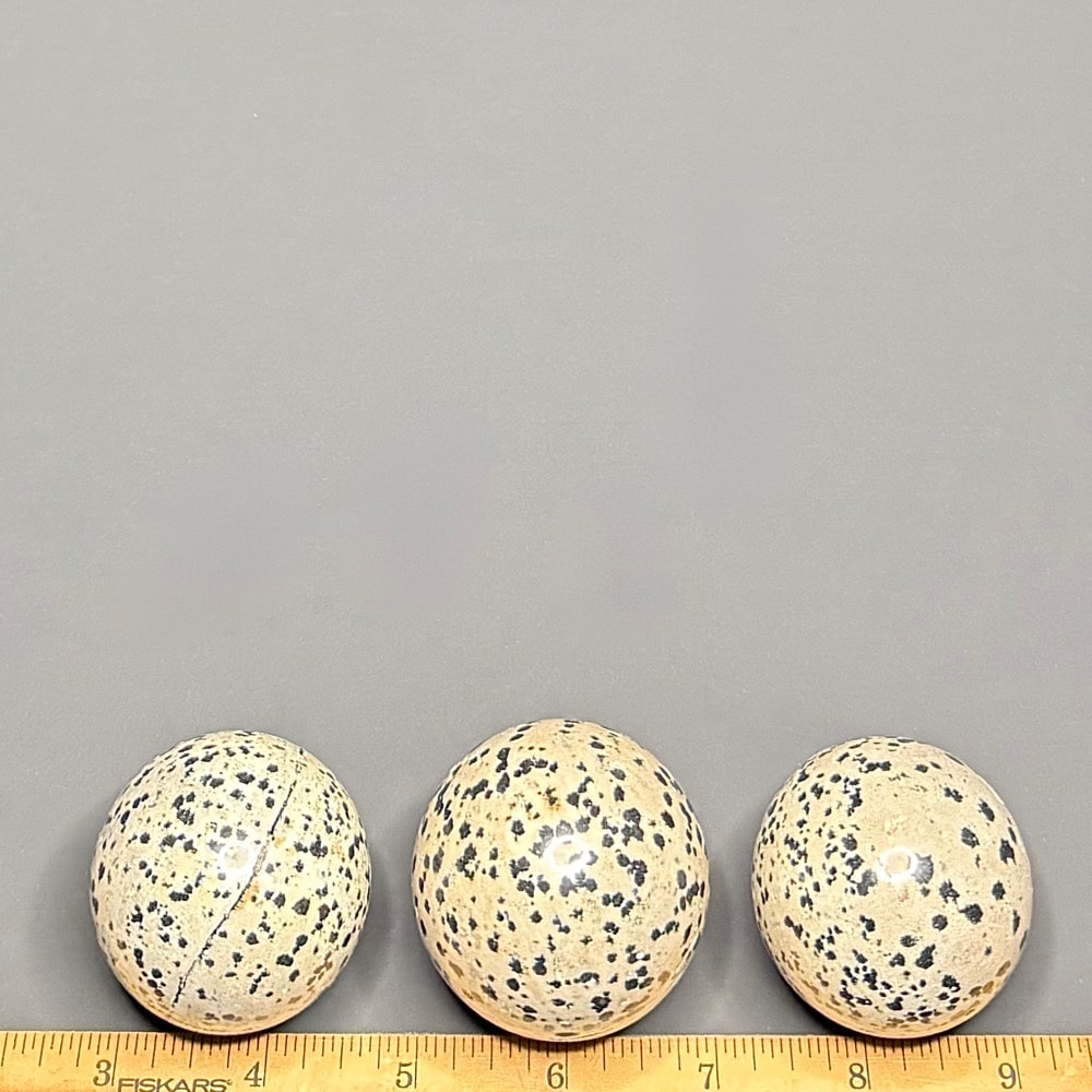 SP1002 Dalmatian Stone