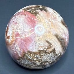 SP1008 Petrified Wood