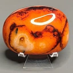 PRS34 Sardonyx