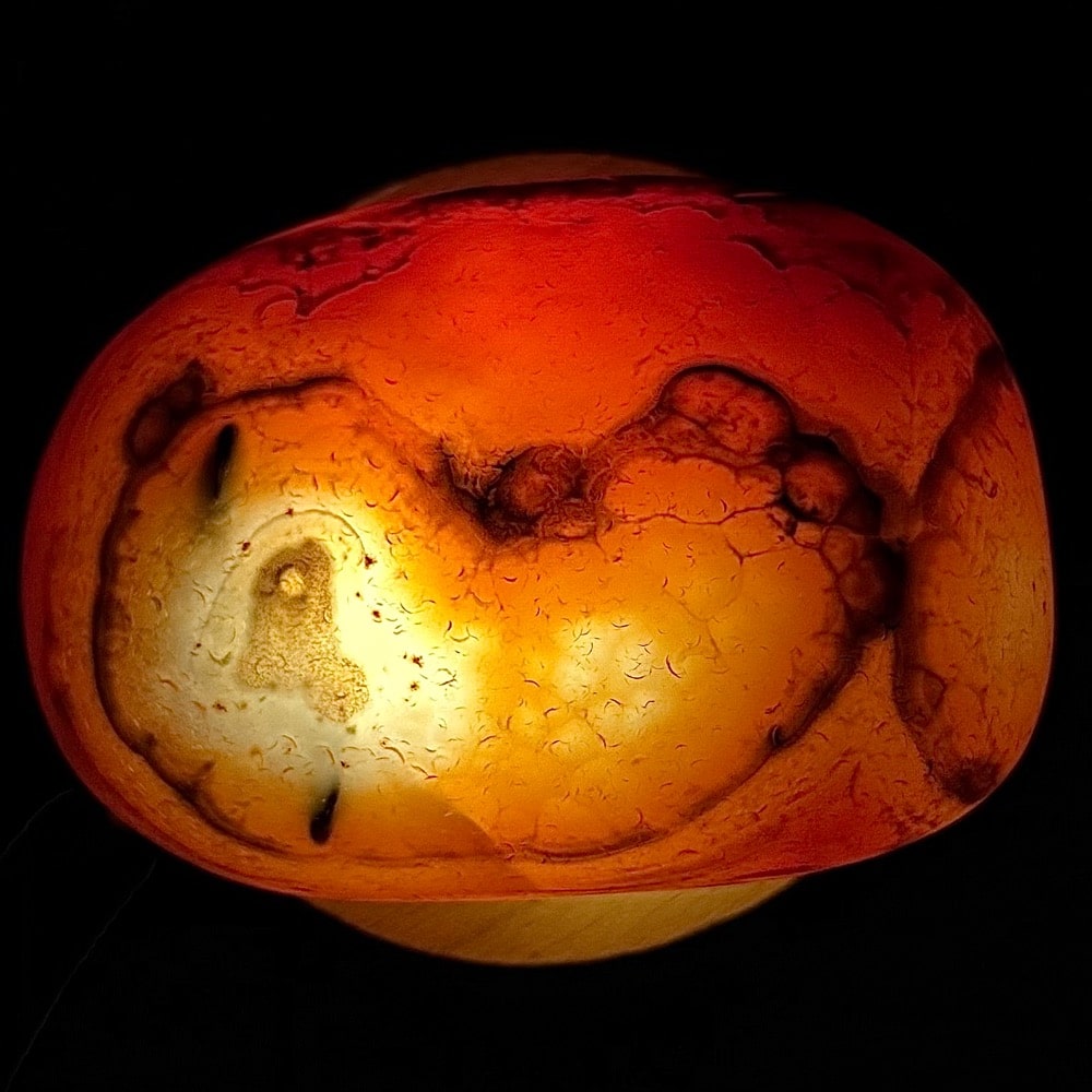 PRS34 Sardonyx