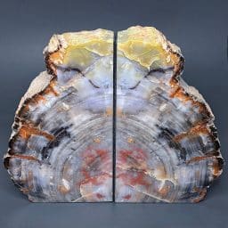 BK206 Petrified Wood Bookends
