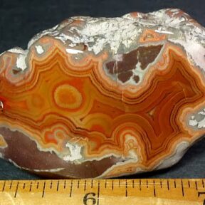Dry Head Agate from Montana