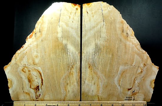 Sequoia Petrified Wood bookends from Ashwood, Oregon