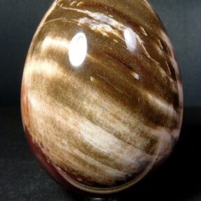Petrified Wood egg