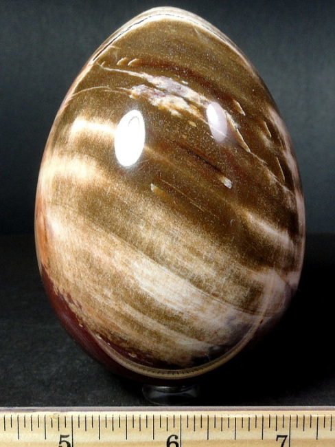 Petrified Wood egg