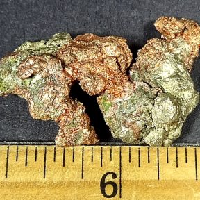 Silver Copper Half Breed