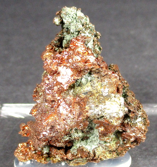 Silver-Copper Half Breed