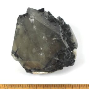 Tourmalated Smokey Quartz Crystal from Brazil