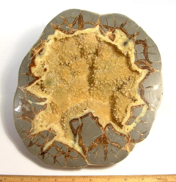 end cut from a Septarian Nodule from Utah