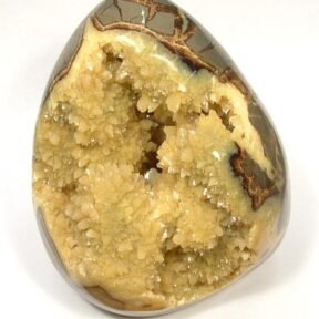 Septarian Free Form carved from a Septarian Nodule