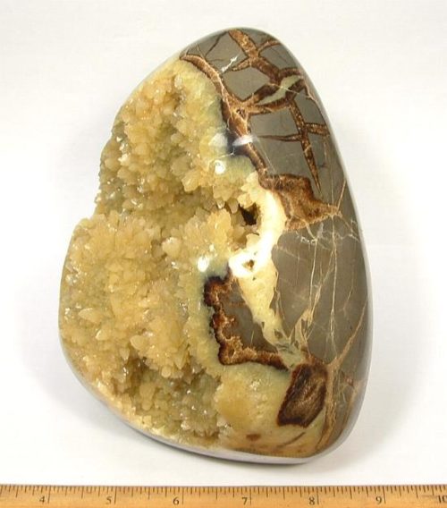 Septarian Free Form carved from a Septarian Nodule