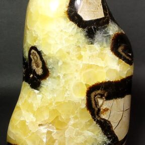 Free Form Stand carved from Septarian Nodule which originated in Madagascar