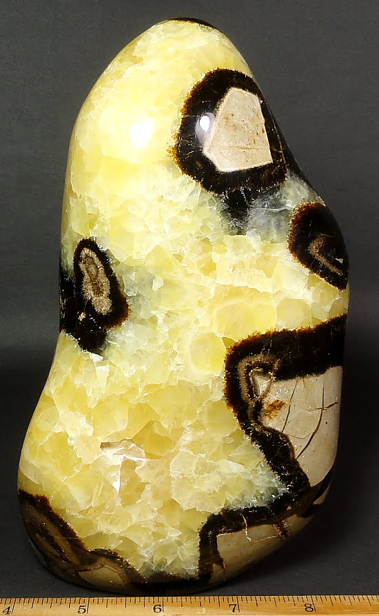 Free Form Stand carved from Septarian Nodule which originated in Madagascar