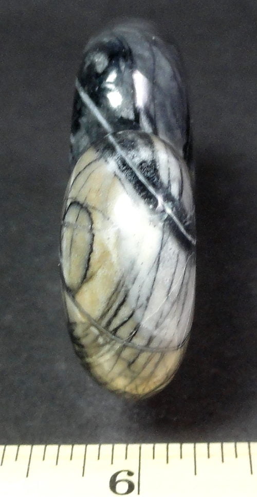 Buffalo from Picasso Marble from Utah