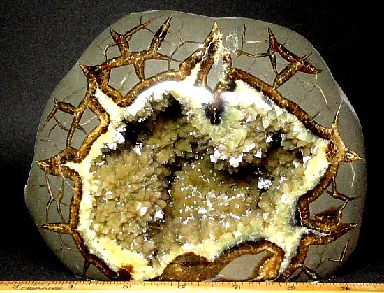 Free Form superbly carved from a Septarian Nodule from Utah