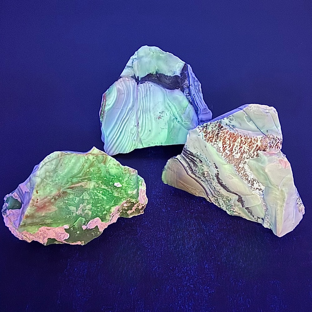BCR409 Parral Jasper