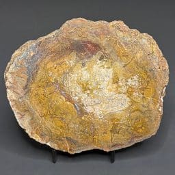 BCR410 Dinosaur Coprolite