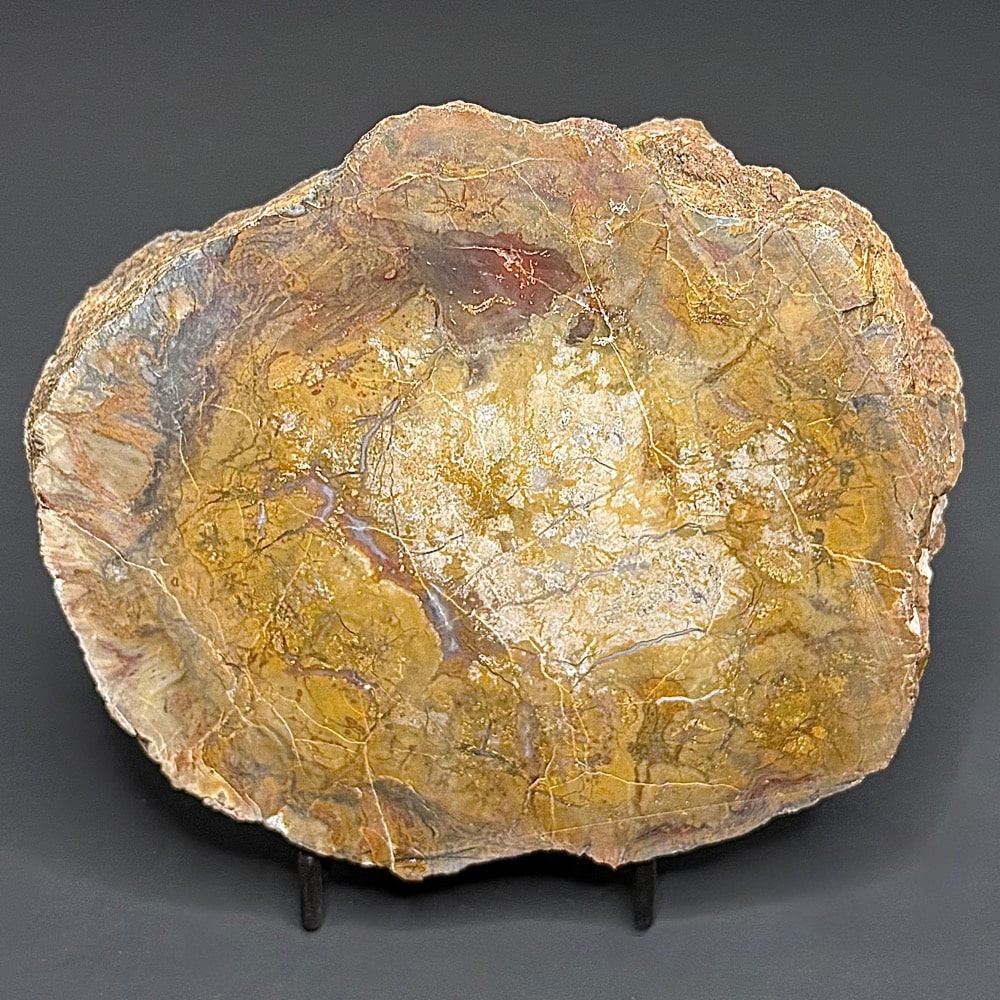 BCR410 Dinosaur Coprolite