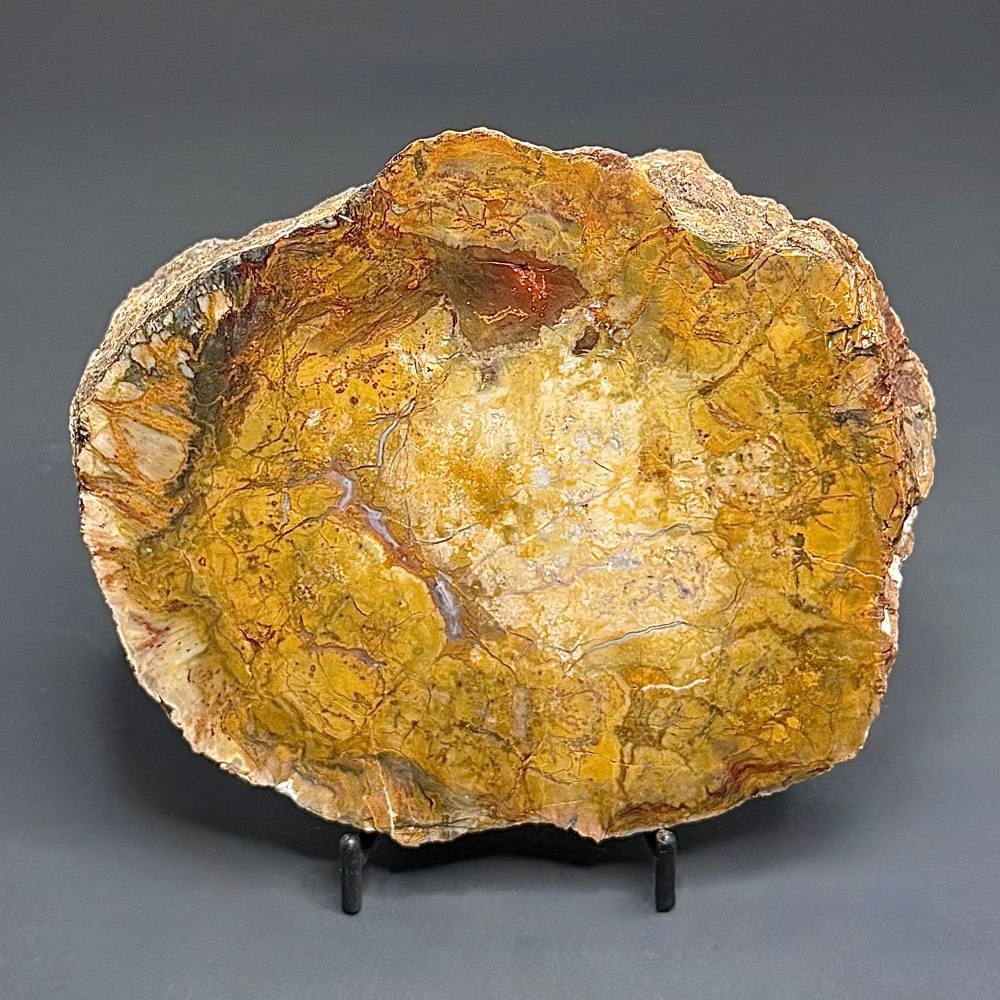 BCR410 Dinosaur Coprolite - Image 3