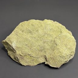 GR202 Serpentine