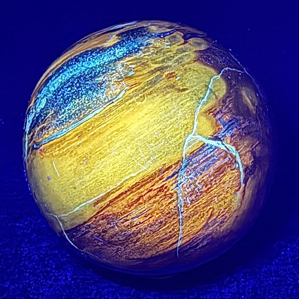SP111 Petrified Wood
