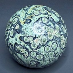 SP310 Kambaba Jasper