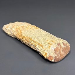FO602 Petrified Wood Limb