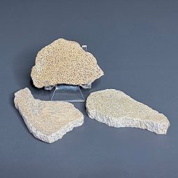 FO603 Dinosaur Bone